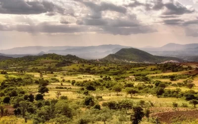 19 Days Combined Tour to Omo Valley, Danakil Depression & Tigray Churches