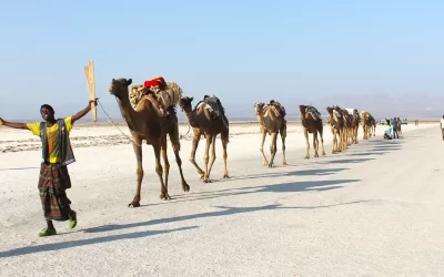 3 Days Danakil Depression, Erta Ale Volcano, Dallol Camel Caravan Tour