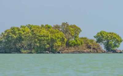14 Days Gondar Castles, Lake Tana Monasteries, Simien Mountains and Historic Route Tour